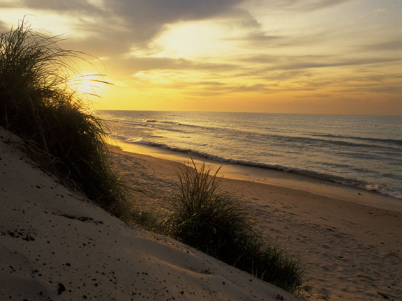 Indiana Dunes